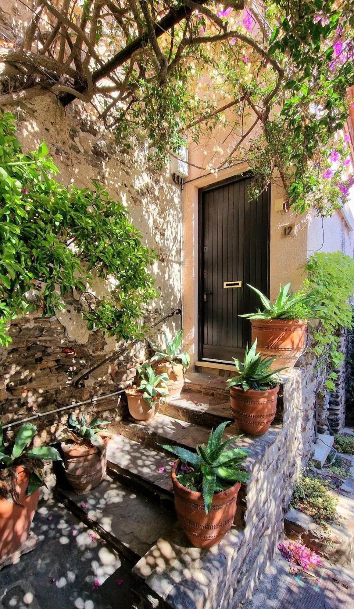 Residence L'Alzine 6Alz8 Collioure Esterno foto